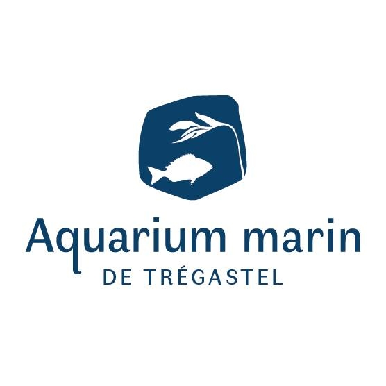 Aquarium marin